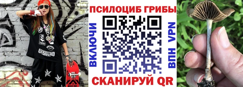 Галлюциногенные грибы Cubensis Вольск