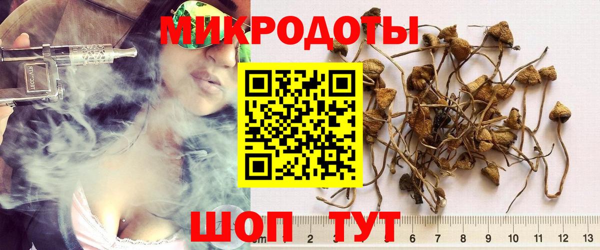 Псилоцибиновые грибы GOLDEN TEACHER Вольск